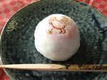 xiƁjp@